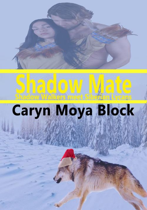 Cover of the book Shadow Mate by Caryn Moya Block, Caryn Moya Block