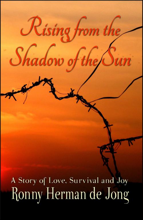 Cover of the book Rising from the Shadow of the Sun by Ronny Herman de Jong, Ronny Herman de Jong