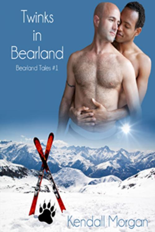 Cover of the book Twinks in Bearland by Kendall Morgan, Tulabella Ruby Press