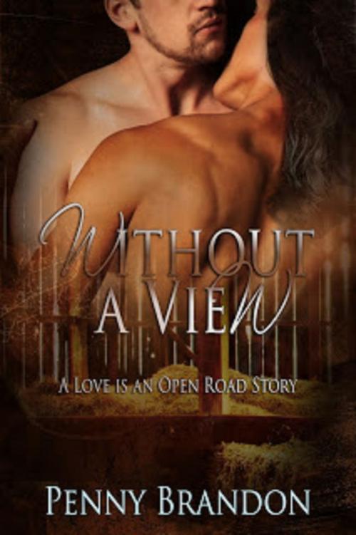 Cover of the book Without a View by Penny Brandon, Penny Brandon