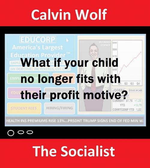 Cover of the book The Socialist by Calvin Wolf, Calvin Wolf