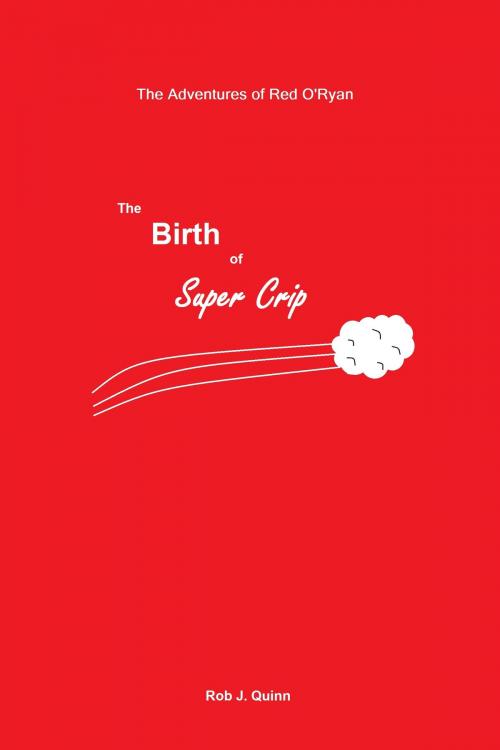 Cover of the book The Birth of Super Crip by Rob J. Quinn, Rob J. Quinn