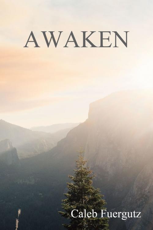 Cover of the book Awaken by Caleb Fuergutz, Bonny Adventures