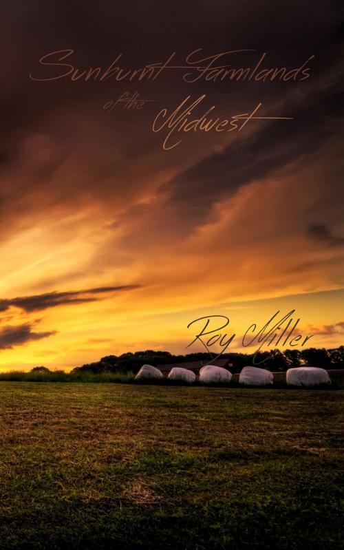 Cover of the book Sunburnt Farmlands of the Midwest by Roy Miller, Roy Miller