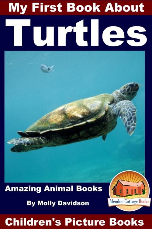 Cover of the book My First Book About Turtles: Amazing Animal Books - Children's Picture Books by Molly Davidson, Mendon Cottage Books