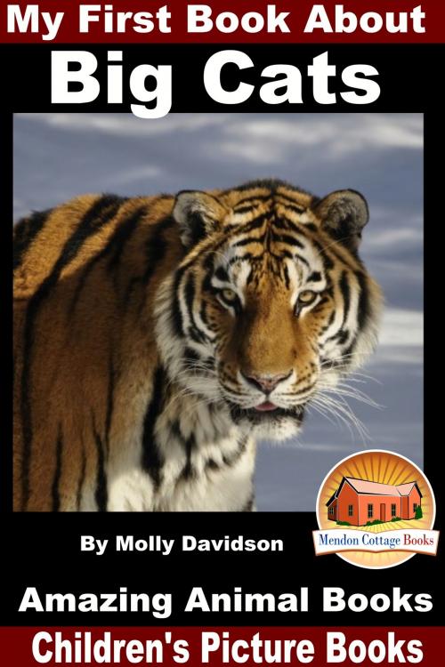 Cover of the book My First Book About Big Cats: Amazing Animal Books - Children's Picture Books by Molly Davidson, Mendon Cottage Books