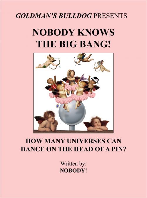 Cover of the book Nobody Knows the Big Bang!: How Many Universes Can Dance on the Head of a Pin? by Nobody!, Nobody!