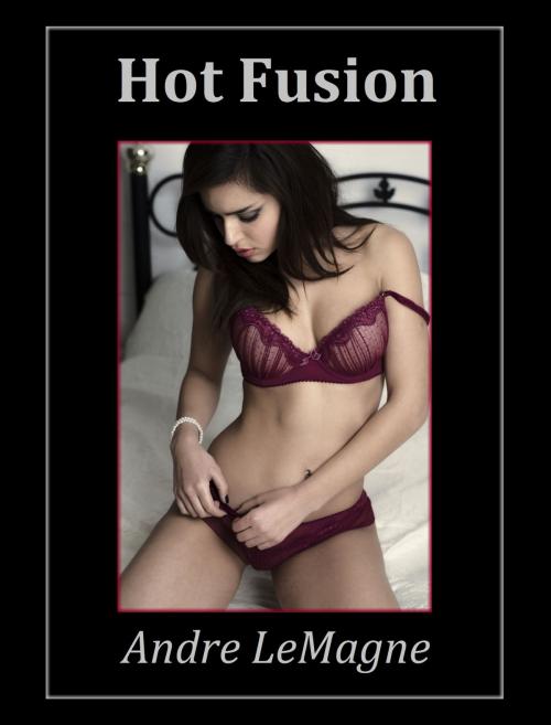 Cover of the book Hot Fusion by Andre LeMagne, Andre LeMagne