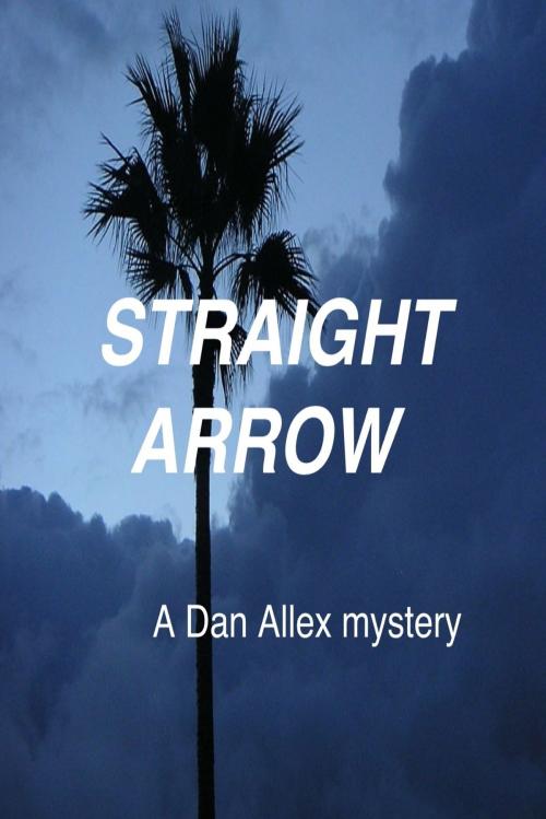 Cover of the book Straight Arrow by Dan Allex, Dan Allex