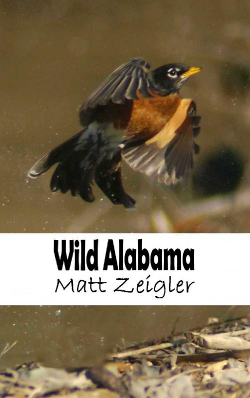 Cover of the book Wild Alabama by Matt Zeigler, Matt Zeigler