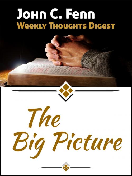 Cover of the book The Big Picture by John C. Fenn, John C. Fenn