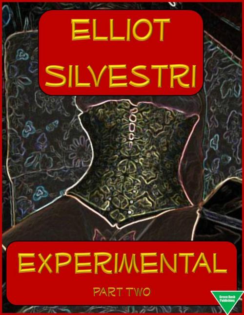 Cover of the book Experimental Part Two by Elliot Silvestri, Elliot Silvestri
