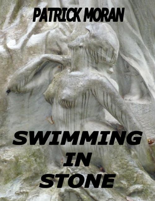 Cover of the book Swimming In Stone by Patrick Moran, Lulu.com