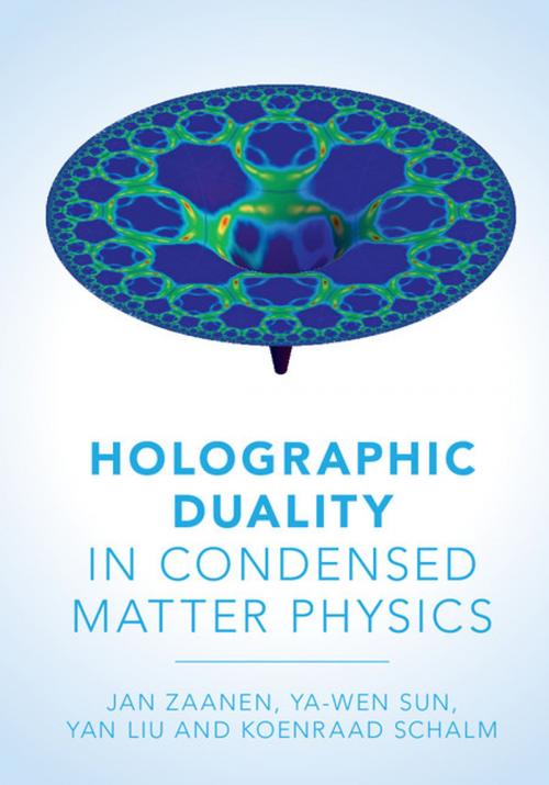 Cover of the book Holographic Duality in Condensed Matter Physics by Jan Zaanen, Yan Liu, Ya-Wen Sun, Koenraad Schalm, Cambridge University Press