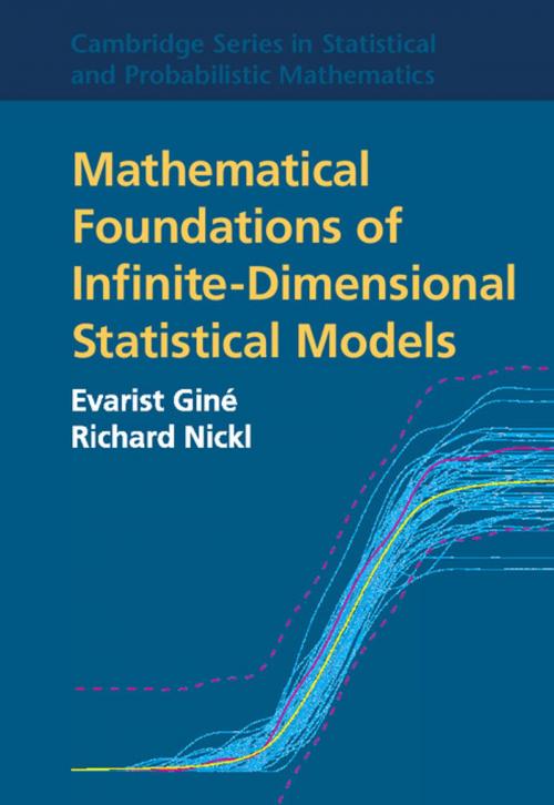 Cover of the book Mathematical Foundations of Infinite-Dimensional Statistical Models by Evarist Giné, Richard Nickl, Cambridge University Press