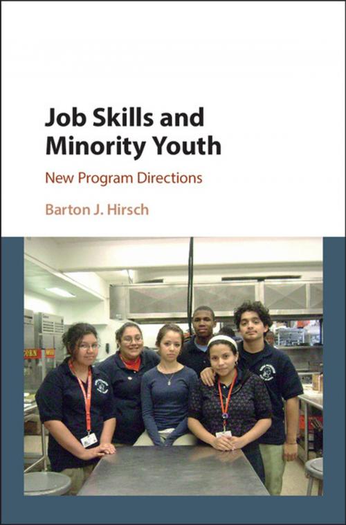 Cover of the book Job Skills and Minority Youth by Barton J. Hirsch, Cambridge University Press