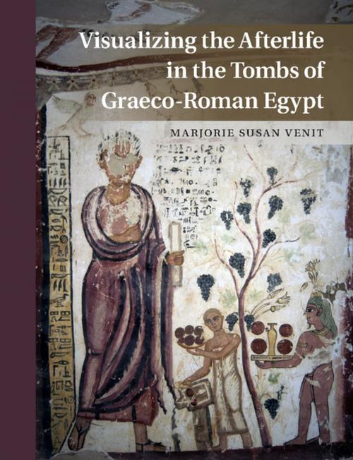 Cover of the book Visualizing the Afterlife in the Tombs of Graeco-Roman Egypt by Marjorie Susan Venit, Cambridge University Press