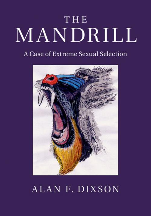 Cover of the book The Mandrill by Alan F. Dixson, Cambridge University Press