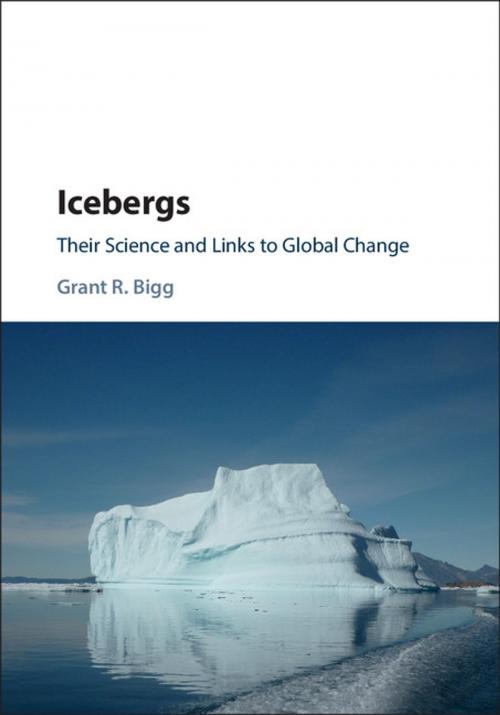 Cover of the book Icebergs by Grant R. Bigg, Cambridge University Press