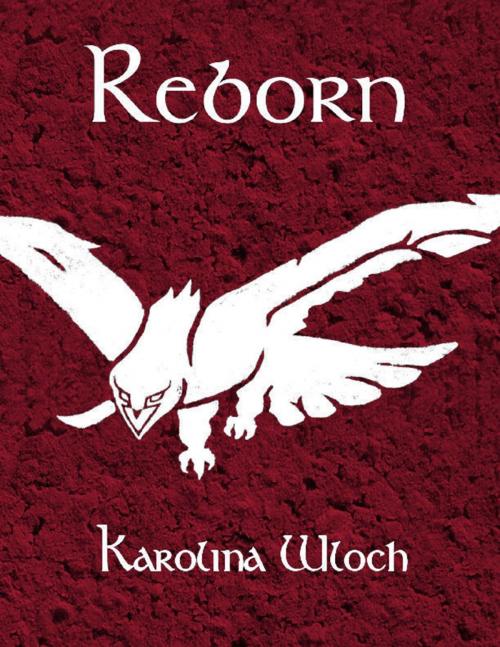 Cover of the book Reborn by Karolina Wloch, Lulu.com
