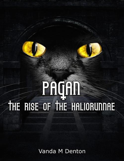 Cover of the book Pagan - The Rise of the Haliorunnae by Vanda Denton, Lulu.com