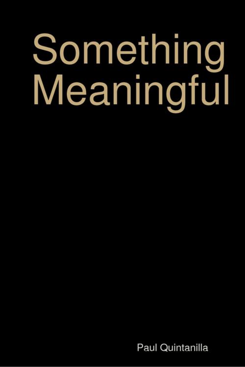 Cover of the book Something Meaningful by Paul Quintanilla, Lulu.com