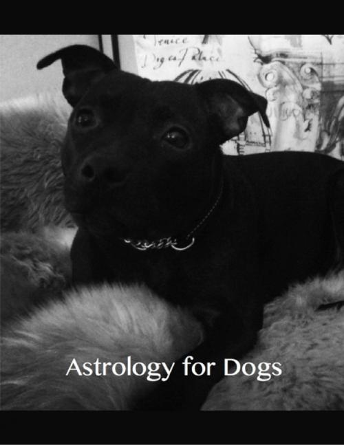 Cover of the book Astrology for Dogs by Aeriel, Lulu.com