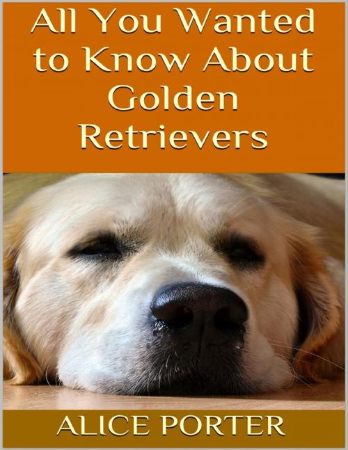 Cover of the book All You Wanted to Know About Golden Retrievers by Alice Porter, Lulu.com