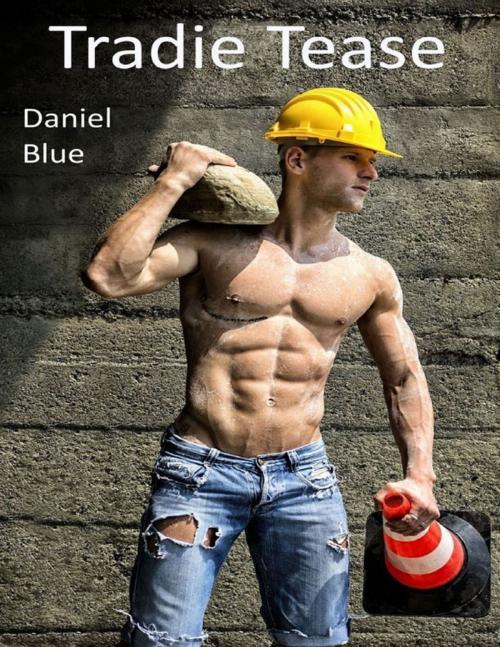 Cover of the book Tradie Tease by Daniel Blue, Lulu.com