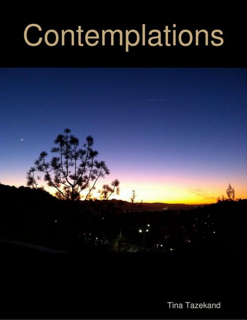 Cover of the book Contemplations by Tina Tazekand, Lulu.com