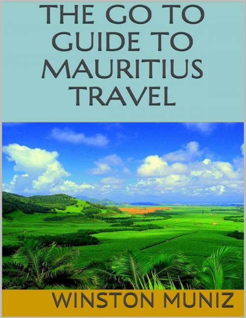 Cover of the book The Go to Guide to Mauritius Travel by Winston Muniz, Lulu.com