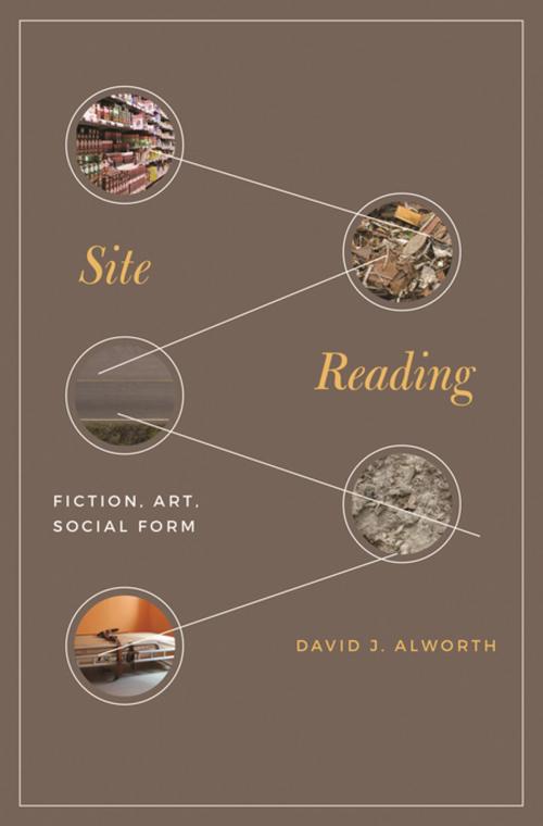 Cover of the book Site Reading by Professor David J. Alworth, Princeton University Press