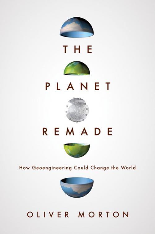 Cover of the book The Planet Remade by Oliver Morton, Princeton University Press
