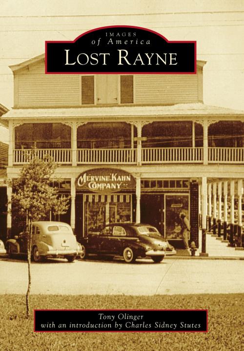 Cover of the book Lost Rayne by Tony Olinger, Arcadia Publishing Inc.