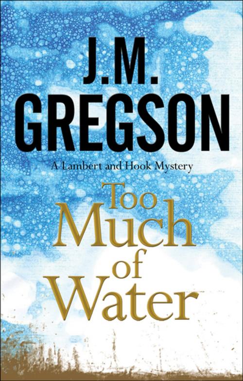Cover of the book Too Much of Water by J. M. Gregson, Severn House Publishers