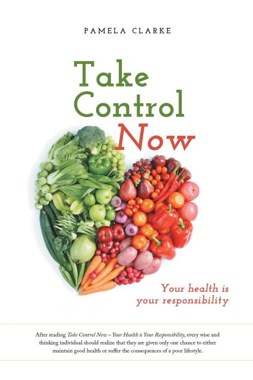 Cover of the book Take Control Now by Pamela E. Clarke, FriesenPress