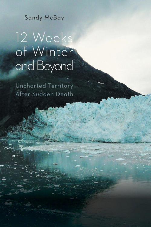 Cover of the book 12 Weeks of Winter and Beyond by Sandy McBay, FriesenPress
