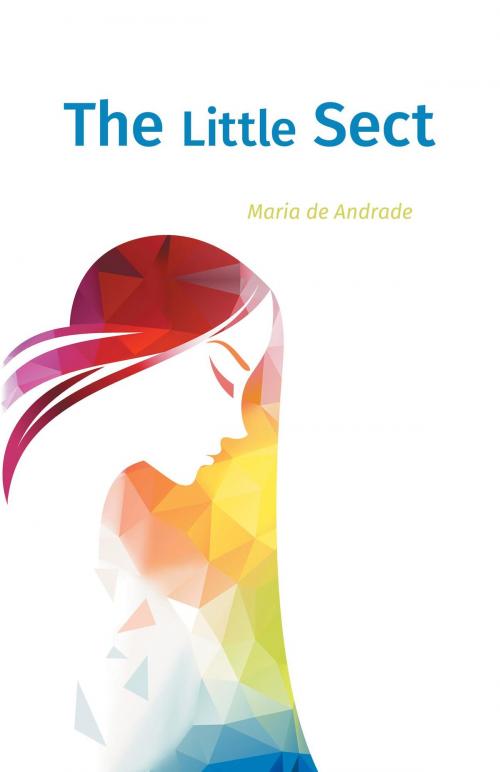 Cover of the book The Little Sect by Maria de Andrade, FriesenPress