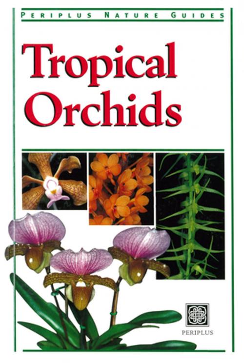 Cover of the book Tropical Orchids of Southeast Asia by David P. Banks, Tuttle Publishing
