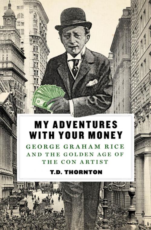 Cover of the book My Adventures with Your Money by T.D. Thornton, St. Martin's Press