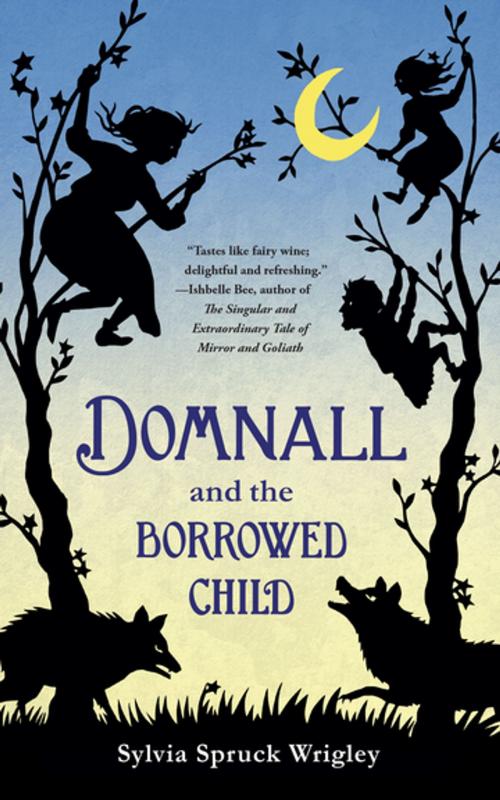 Cover of the book Domnall and the Borrowed Child by Sylvia Spruck Wrigley, Tom Doherty Associates