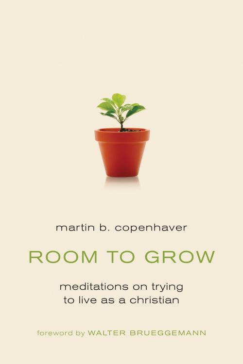 Cover of the book Room to Grow by Martin B. Copenhaver, Wm. B. Eerdmans Publishing Co.