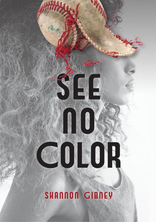 Cover of the book See No Color by Shannon Gibney, Lerner Publishing Group