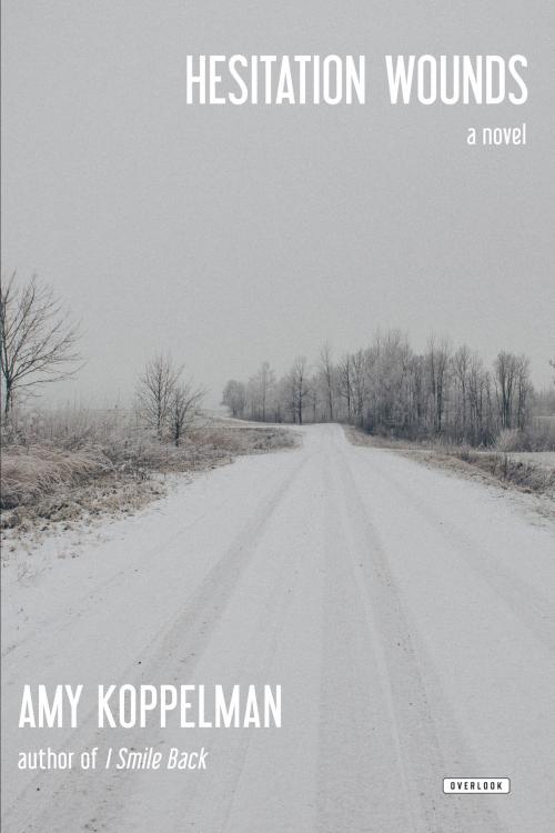 Cover of the book Hesitation Wounds by Amy Koppelman, ABRAMS