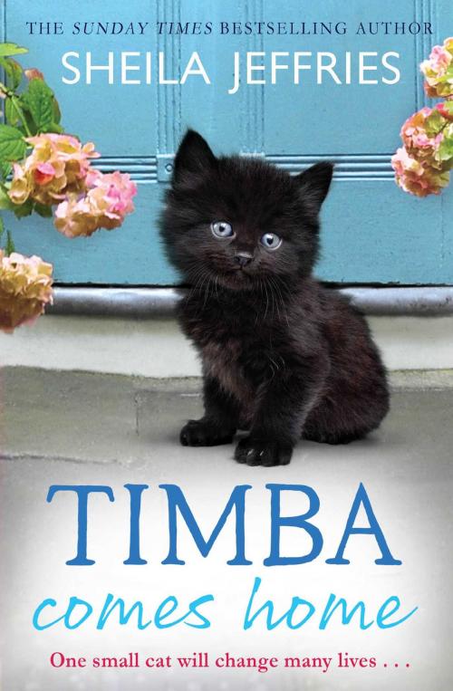 Cover of the book Timba Comes Home by Sheila Jeffries, Simon & Schuster UK