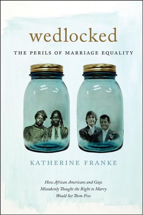 Cover of the book Wedlocked by Katherine Franke, NYU Press