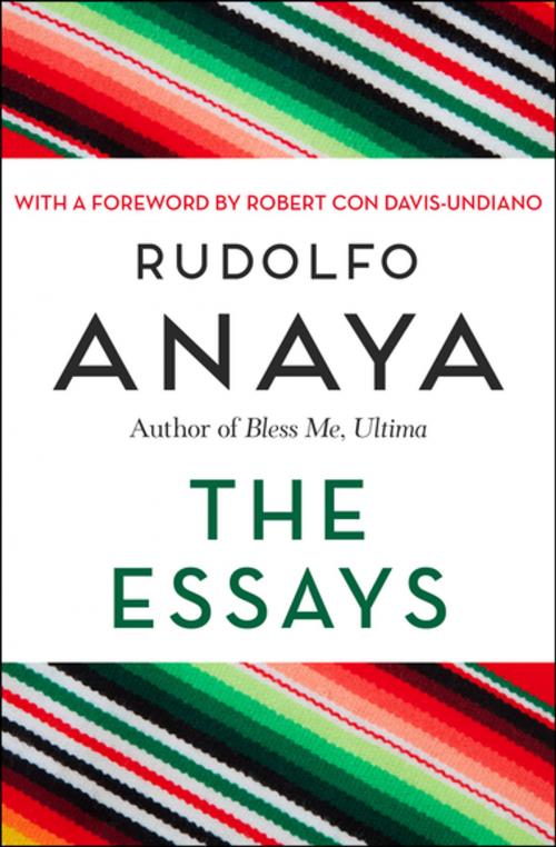Cover of the book The Essays by Rudolfo Anaya, Open Road Media