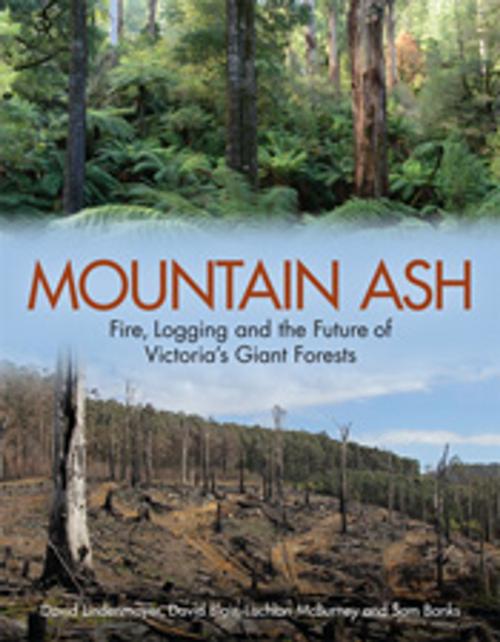 Cover of the book Mountain Ash by David Lindenmayer, David Blair, Lachlan McBurney, Sam Banks, CSIRO PUBLISHING