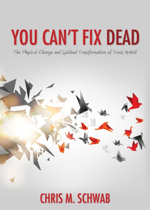 Cover of the book You Can't Fix Dead by Chris M. Schwab, Word Alive Press
