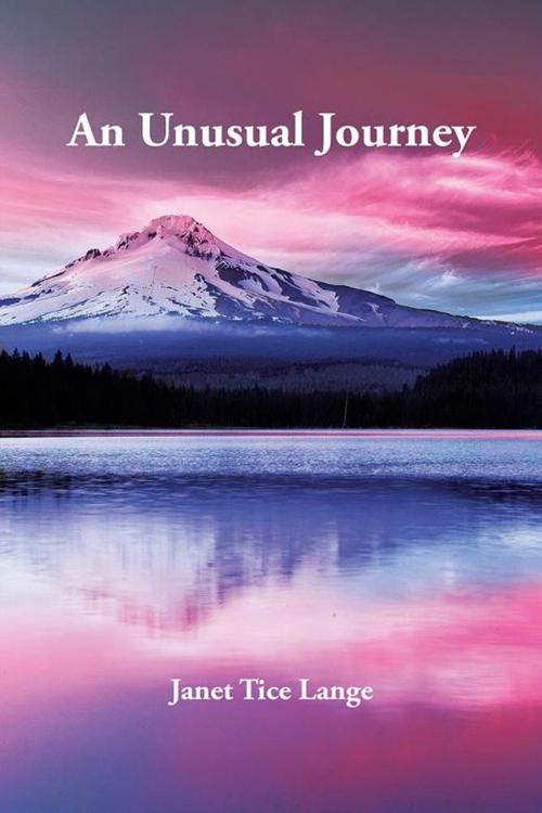Cover of the book An Unusual Journey by Janet Tice Lange, iUniverse